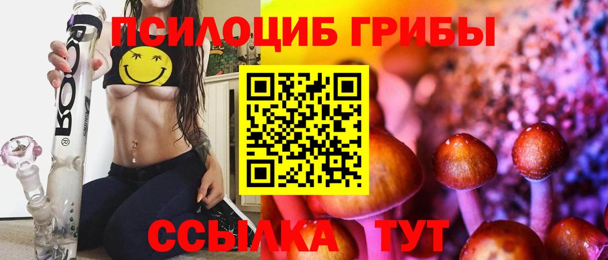 Ковров  Псилоцибиновые грибы Psilocybe  Вход с VPN  Псилоцибиновые грибы Psilocybe 