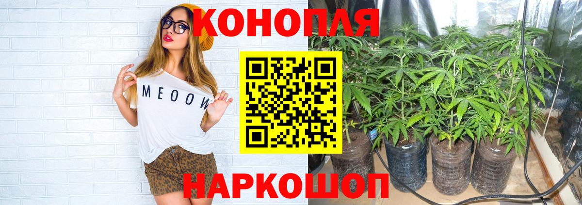 Канабис SATIVA & INDICA  Шишки марихуана SATIVA & INDICA  Марихуана OG Kush  Ковров  Вход с VPN 